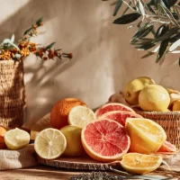 Vegan Fox produktu sastāvdaļas - pēc iespējas dabīgākas un 100% vegāniskas